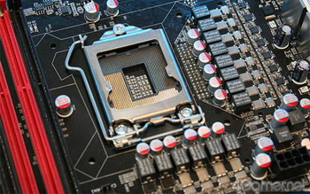 p55 quantum Of force